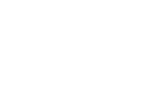 Alo logo