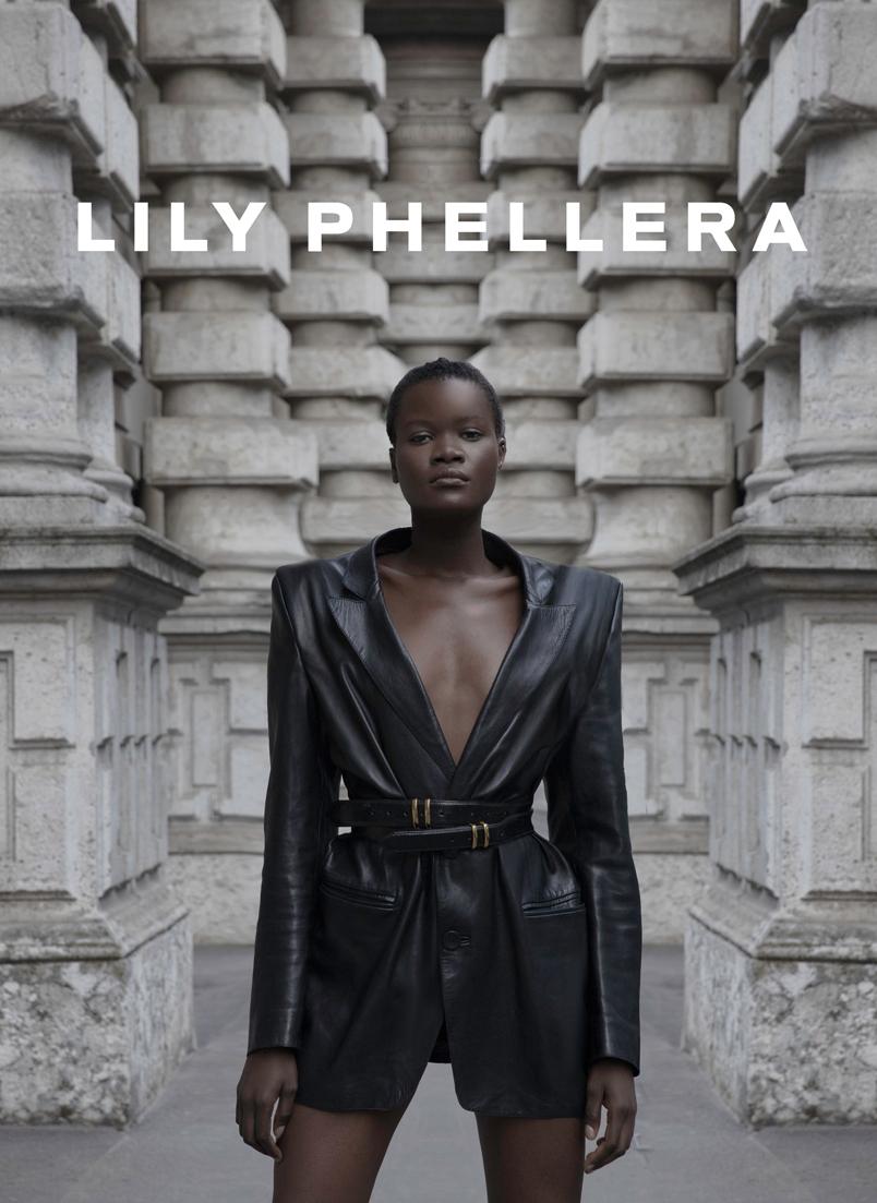Lily Phellera hero image