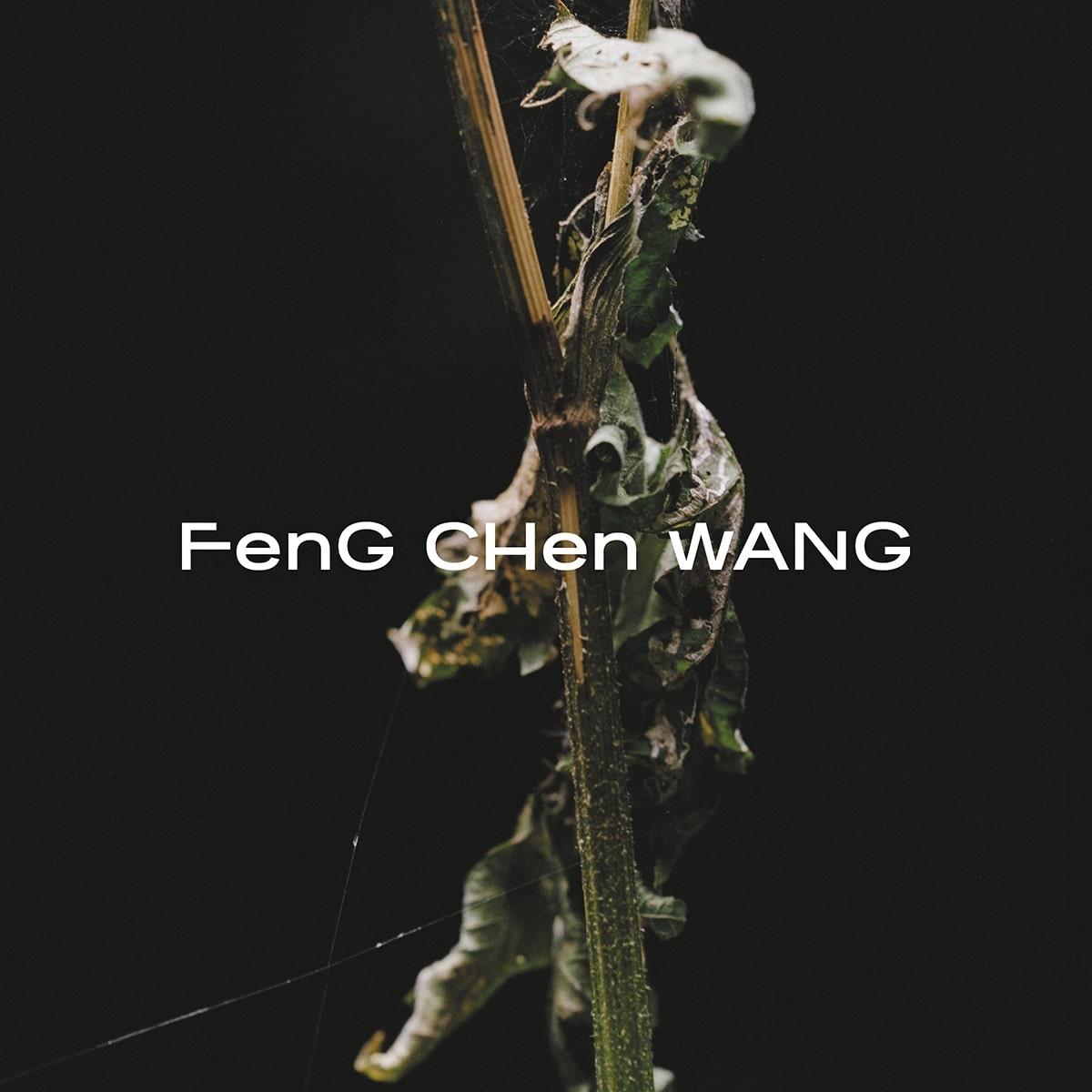Feng Chen Wang hero image