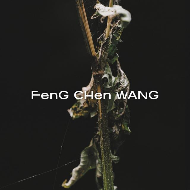 Feng Chen Wang image