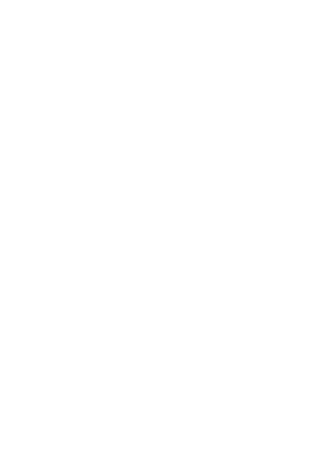Ssōne logo