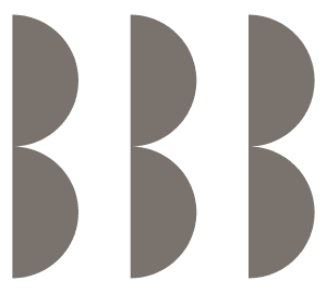 Blink Brow Bar logo