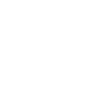 VANASSIBARA logo