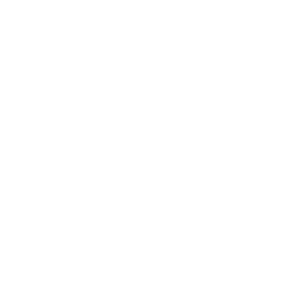 V by Laura Vann logo