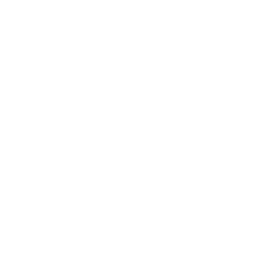 Joao Maraschin logo