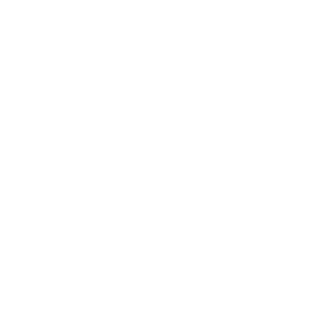 VeniceW logo